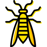 Wasp PNG