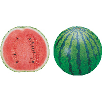 Watermelon Png Image PNG Image