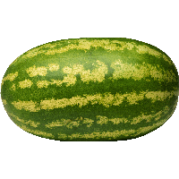 Watermelon Png Image PNG Image