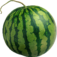 Watermelon Png Image PNG Image