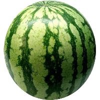 Watermelon Cartoon png download - 2563*995 - Free Transparent