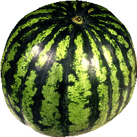 Watermelon Png Image PNG Image