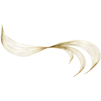 Golden Wave PNG Image High Quality PNG