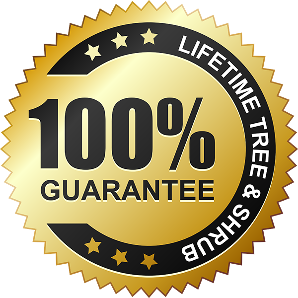 100% guarantee. Satisfaction guaranteed icon Stock Vector | Adobe Stock