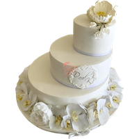 Wedding cake PNG