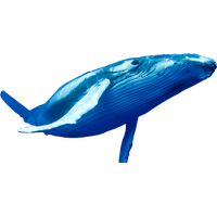 Download Whale Free PNG photo images and clipart | FreePNGImg