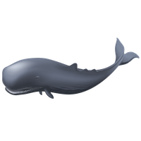 Blue Whale Clipart PNG Image