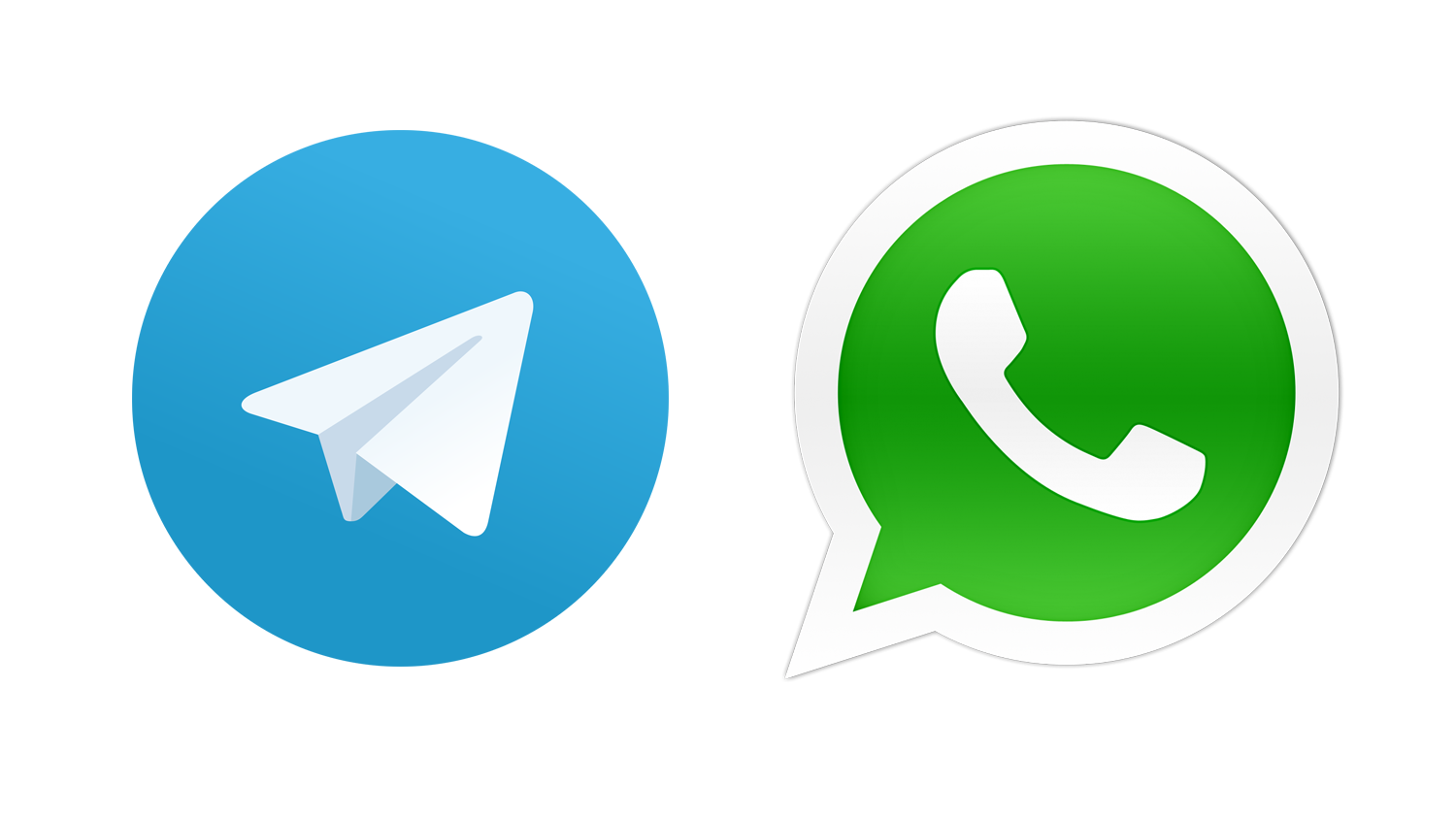 Телеграмм whatsapp