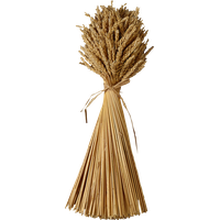 Wheat