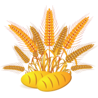 Wheat PNG