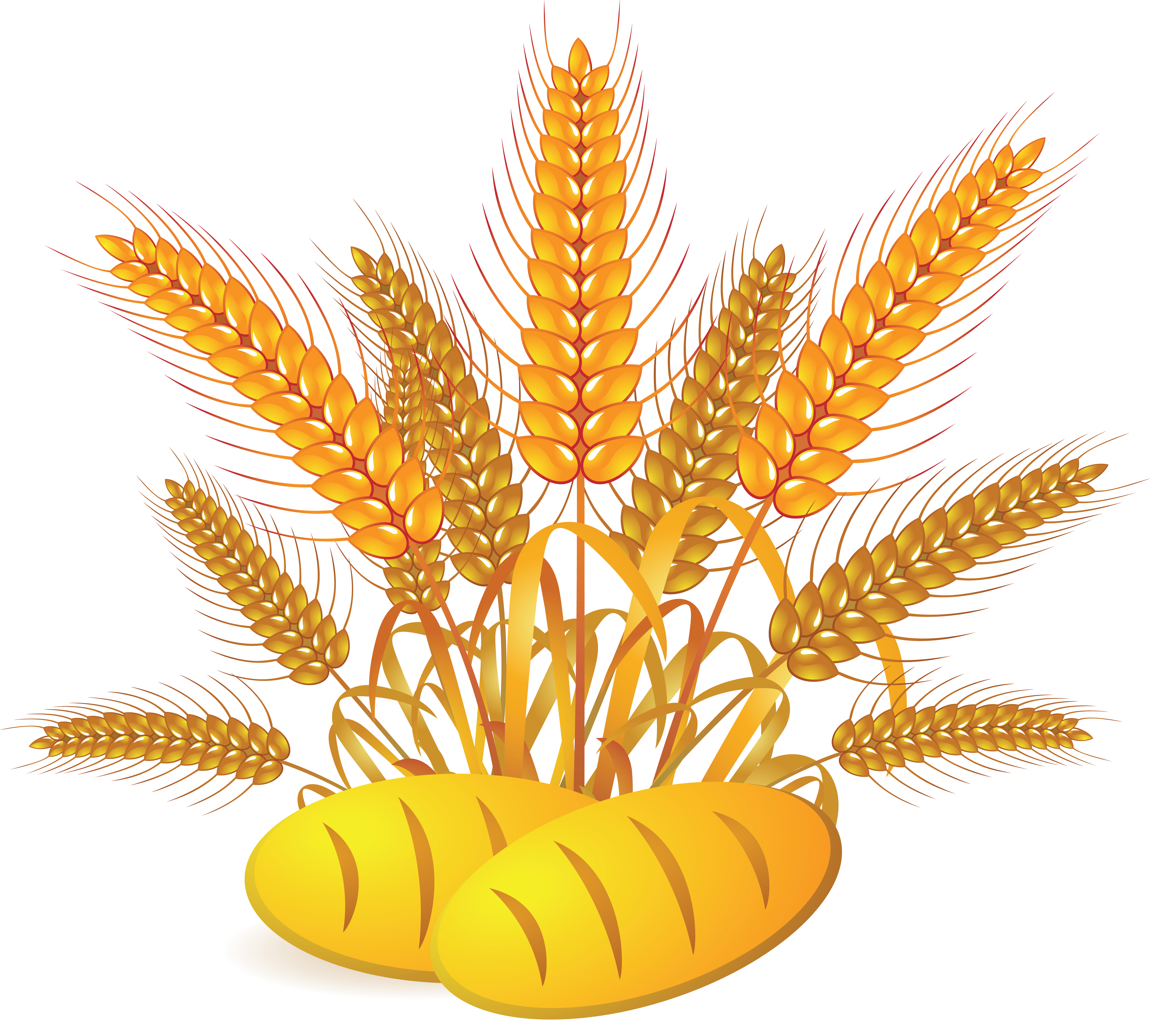 Wheat Transparent PNG Image