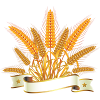 Wheat PNG