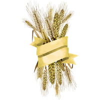 Wheat PNG