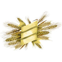 Wheat PNG