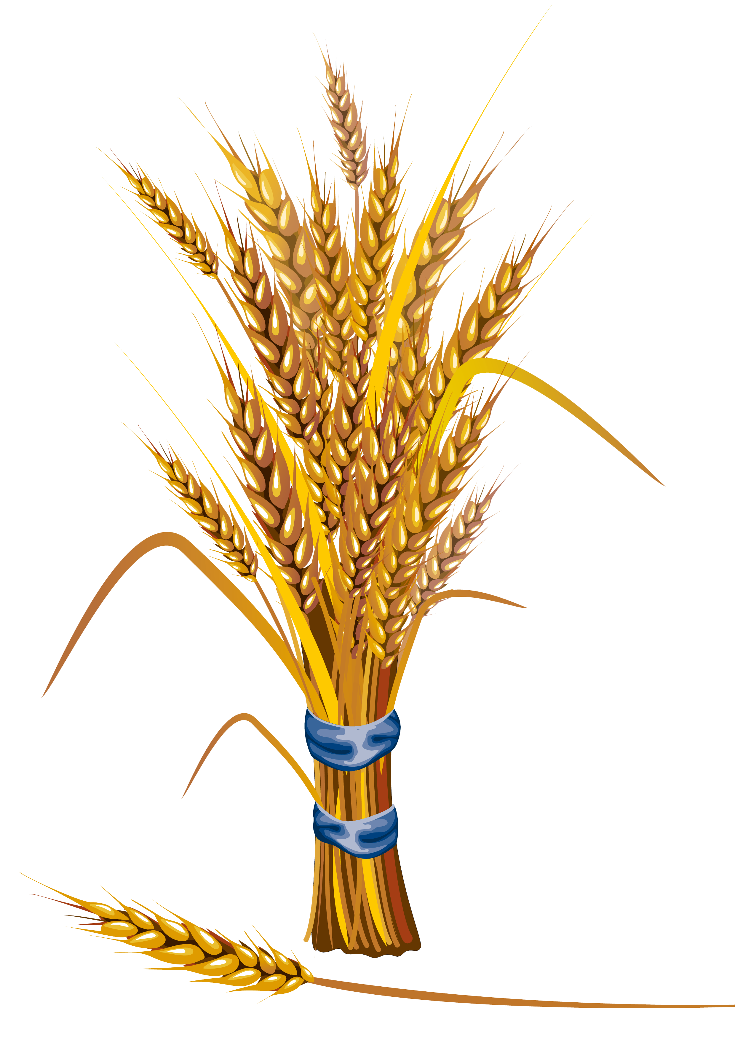Wheat Transparent PNG Image