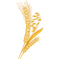 Wheat PNG