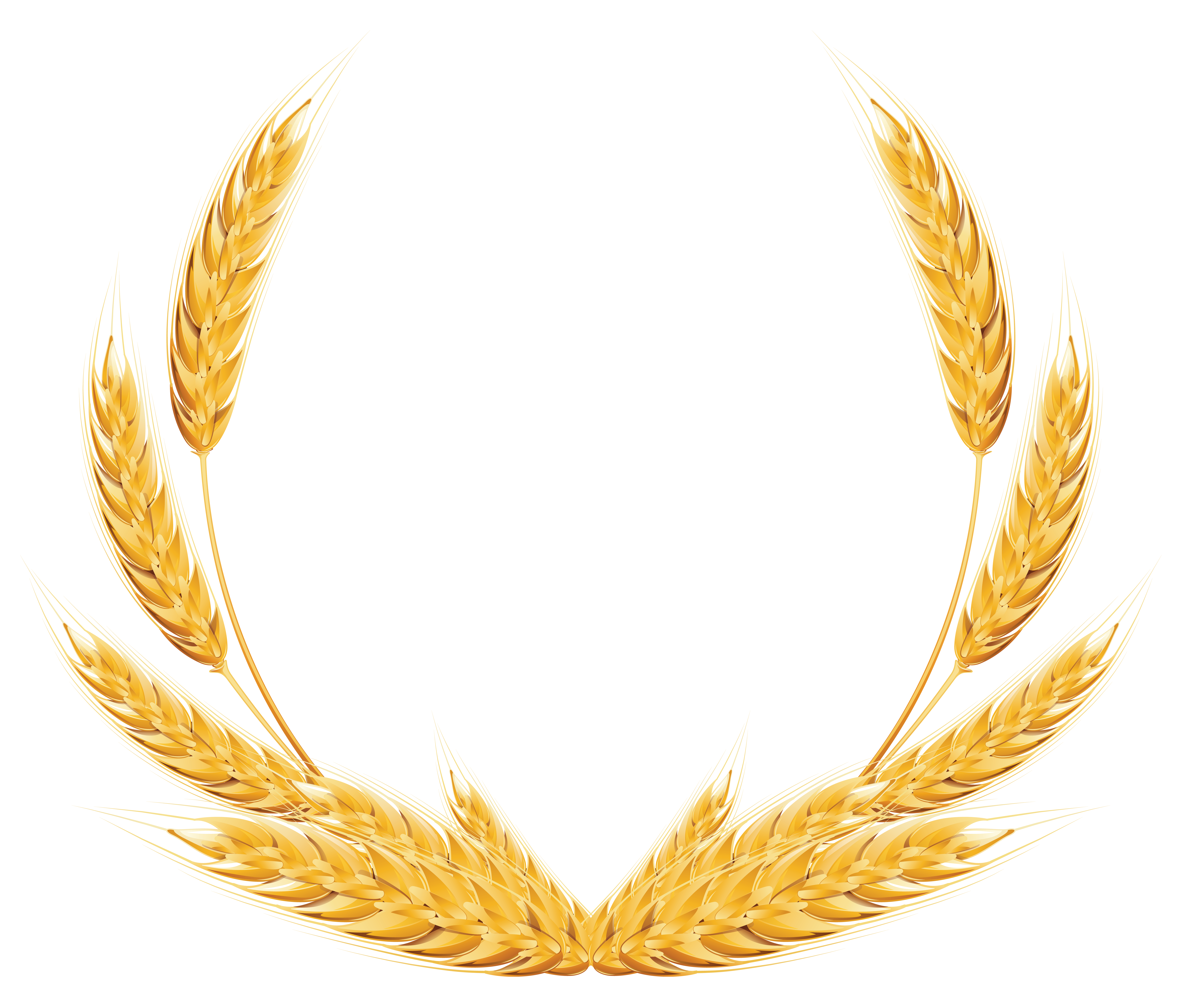 Wheat Transparent PNG Image
