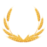 Wheat PNG
