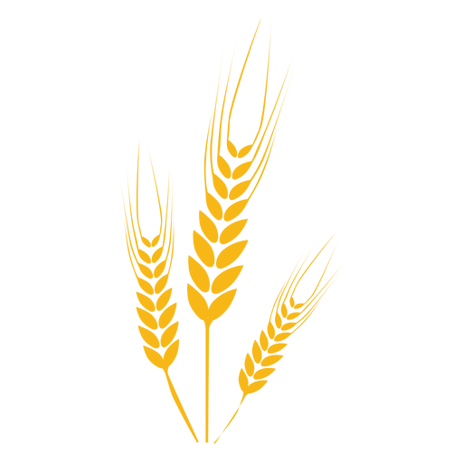 Wheat Transparent PNG Image