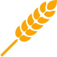 Wheat PNG