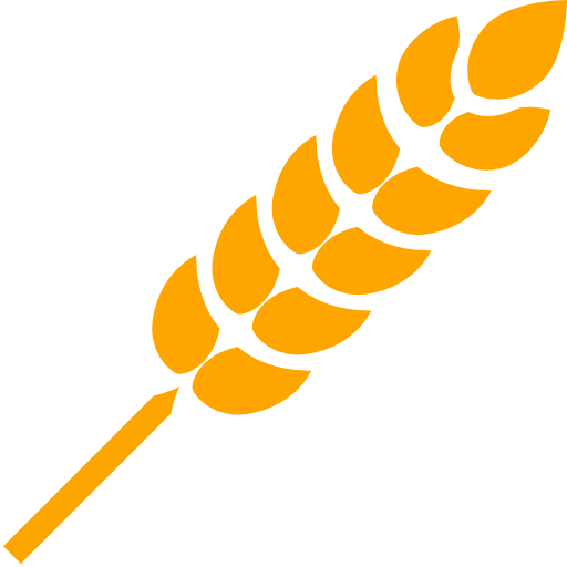 Wheat Transparent PNG Image
