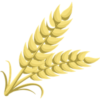 Wheat PNG