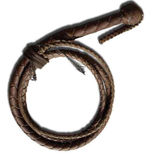 Whip Transparent PNG Image