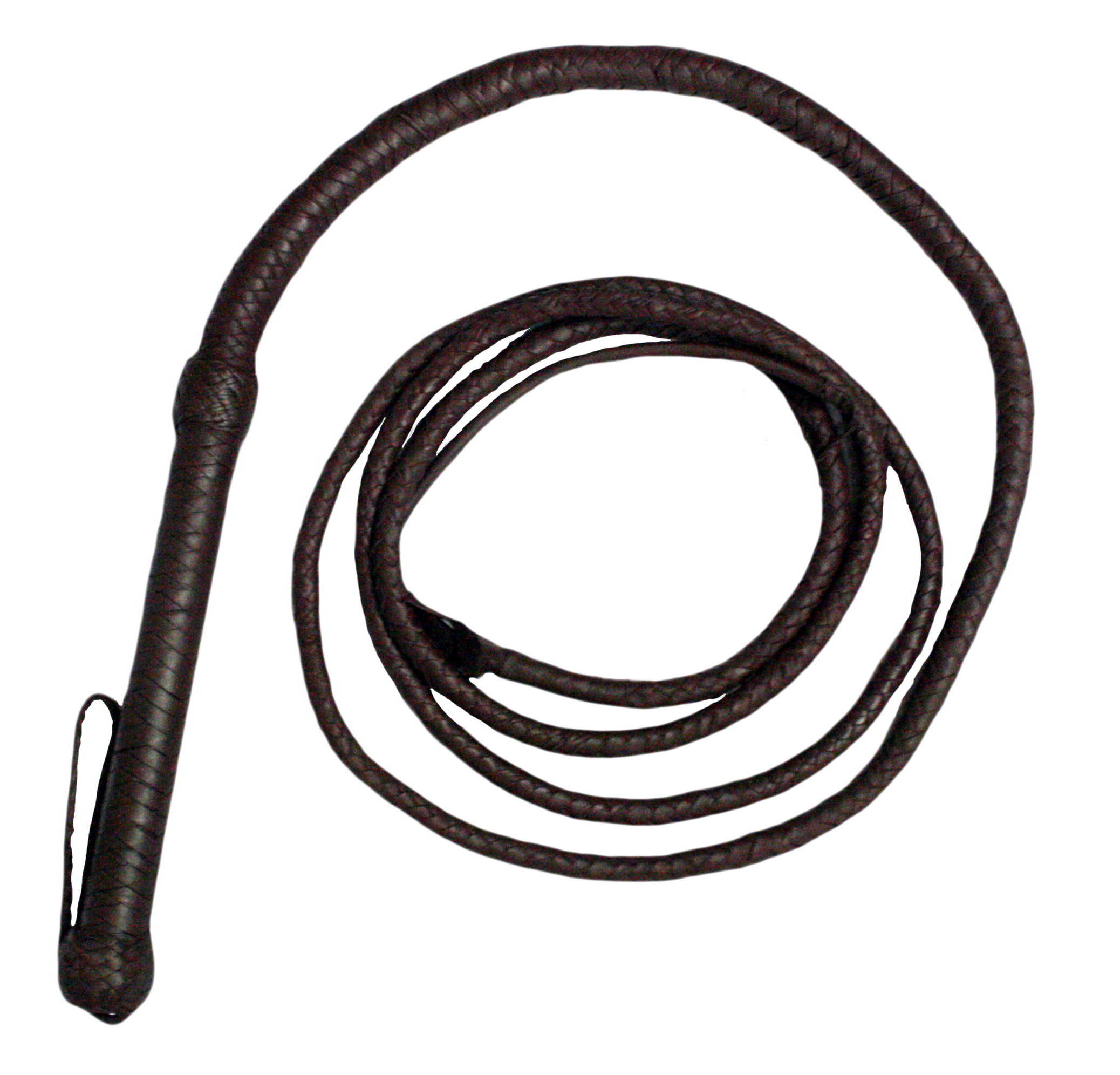 Whip Transparent PNG Image