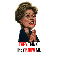 Clinton Behavior House Controversy Hillary Human Poster
