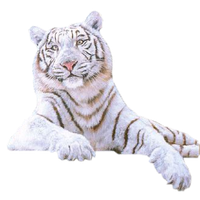 White Tiger Png Picture PNG Image