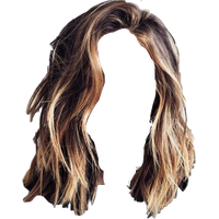 Hair wig PNG