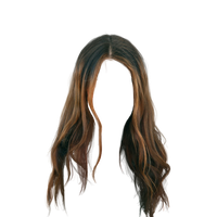 Hair wig PNG
