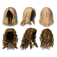 Hair wig PNG