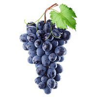 Download Wine Free PNG photo images and clipart | FreePNGImg