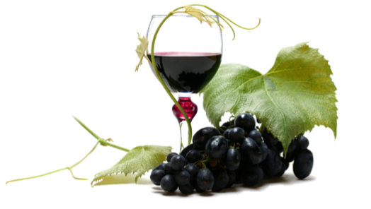 red wine grapes clip art