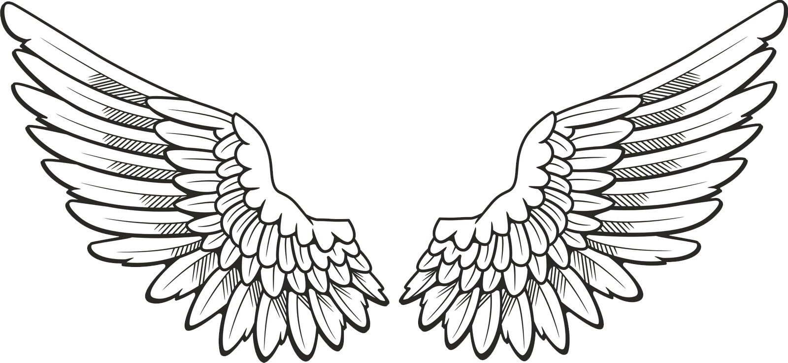 Angel Halo Wings Free Download PNG Image