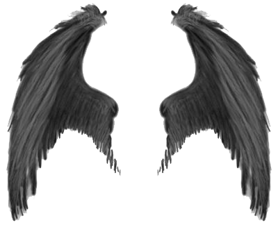 Wings Transparent Image PNG Image