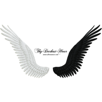 Download Wings Free PNG photo images and clipart | FreePNGImg