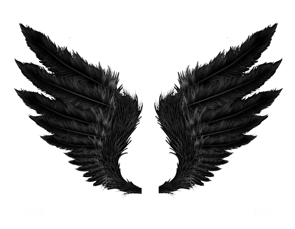 Wings Clipart PNG Image