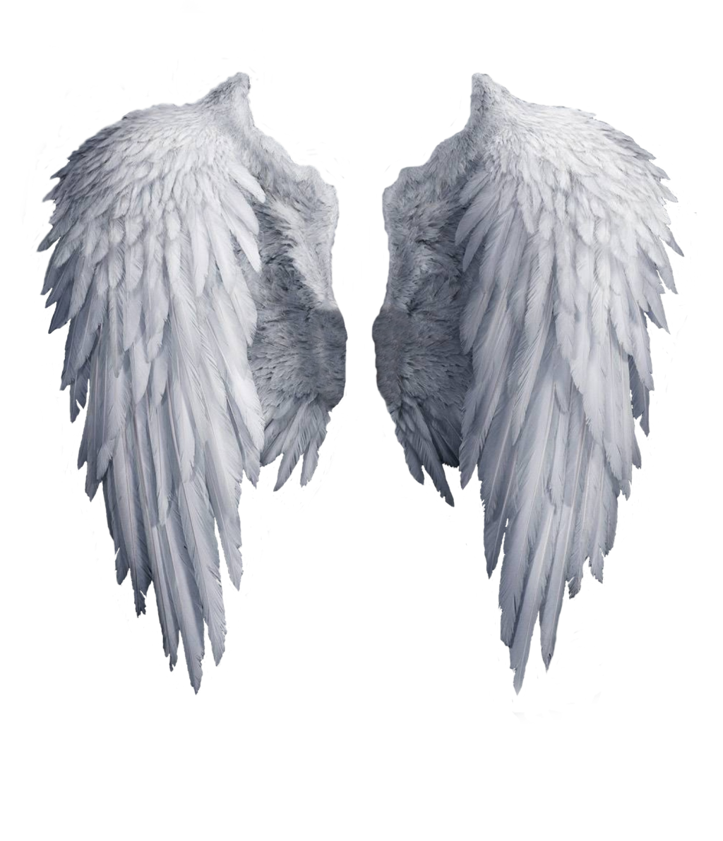 Wings Image PNG Image