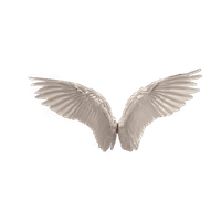 Download Wings Free PNG photo images and clipart | FreePNGImg