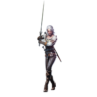 Witcher
