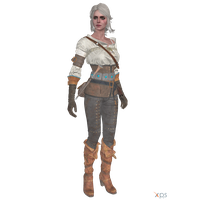 Witcher PNG