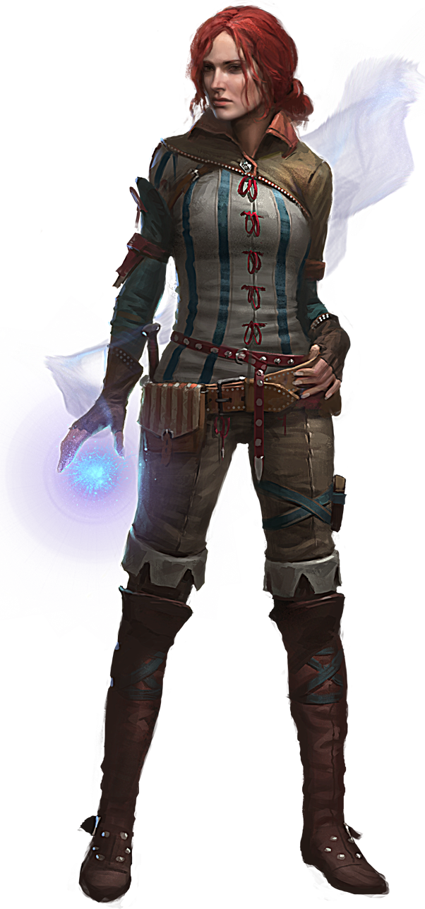 Witcher Transparent PNG Image