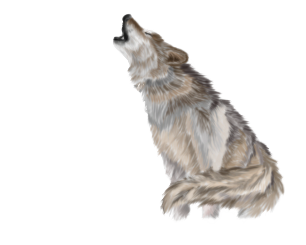 Wolf Png Pic PNG Image