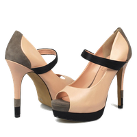 Download Women Shoes Free PNG photo images and clipart | FreePNGimg