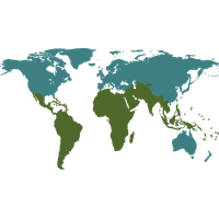 World map Transparent PNG Image