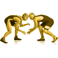 Wrestling Transparent PNG Image