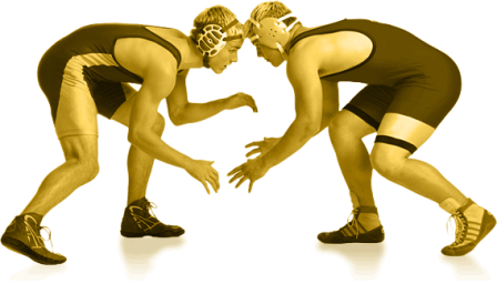 Wrestling Transparent PNG Image