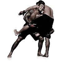 Wrestling Image PNG Image